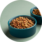 pet food bowls