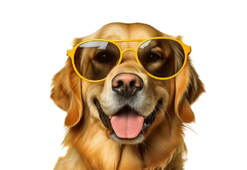 Happy dog with glasses